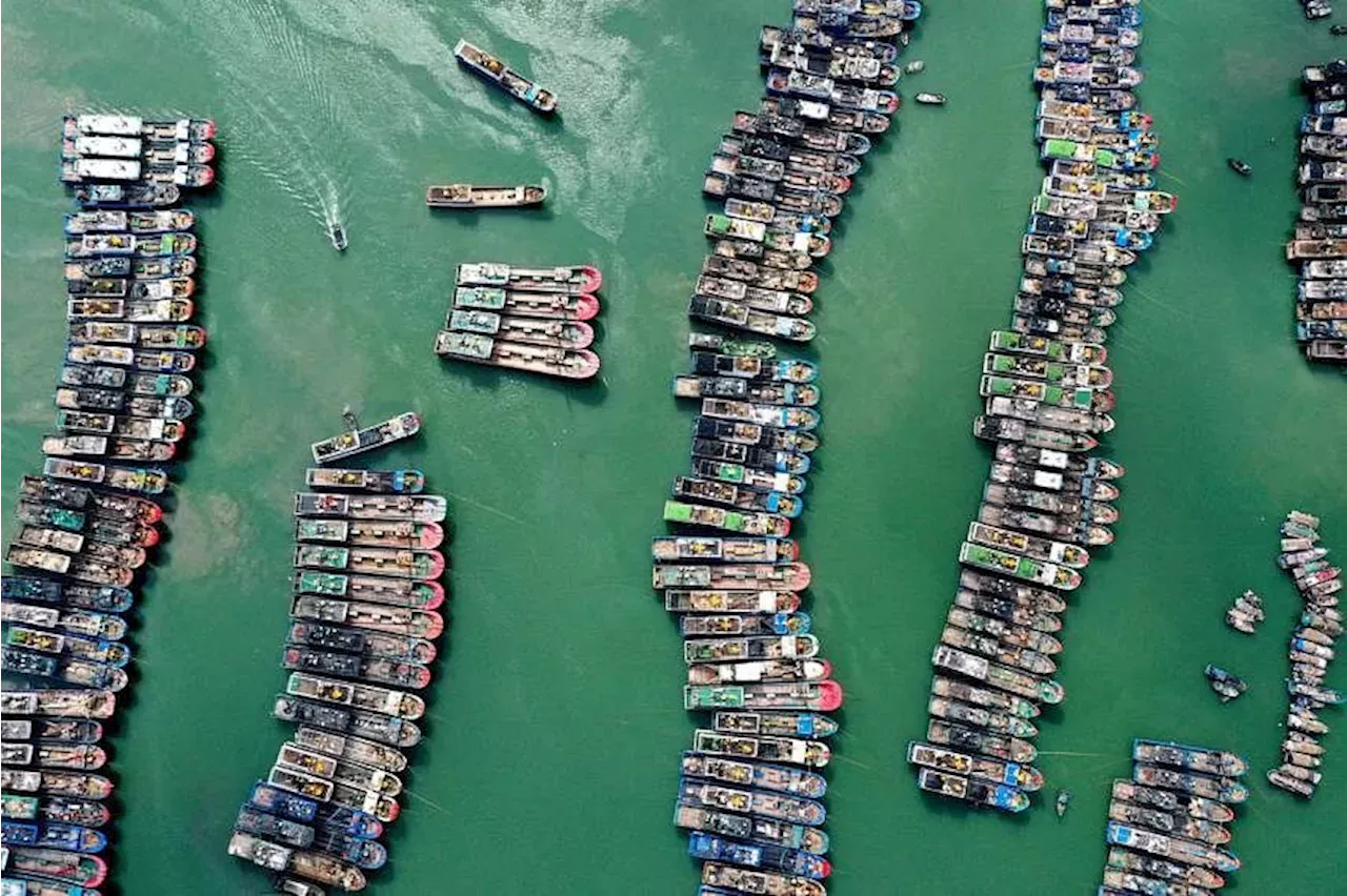 Typhoon Gaemi Hits Chinese Seaboard, Sinks Freighter Off Taiwan ...