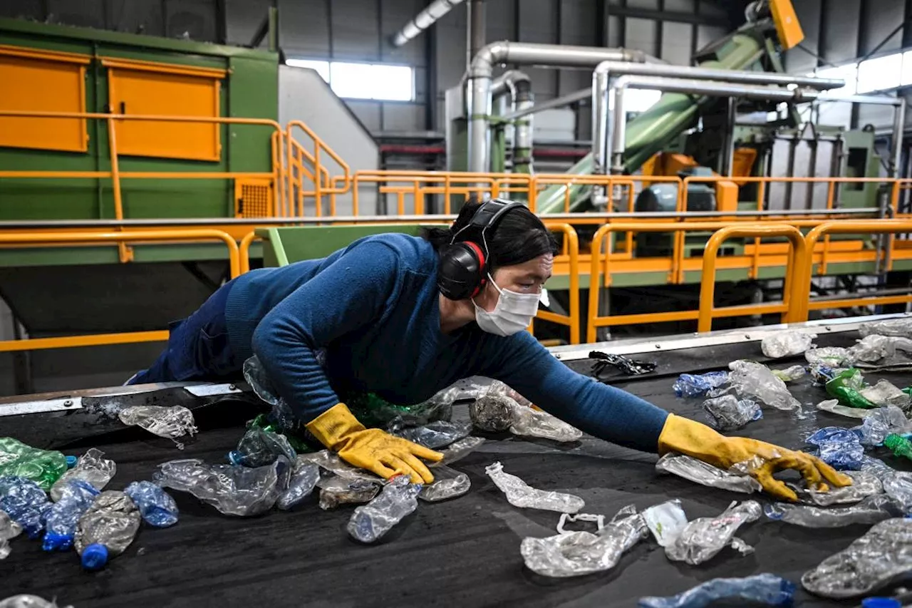 Mongolians fight plastic pollution in vast steppe