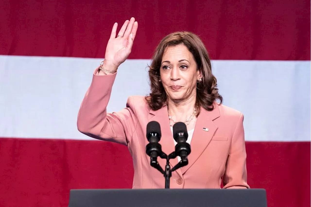 Kamala Harris' $7M support from LinkedIn founder comes with a request: Fire Lina Khan