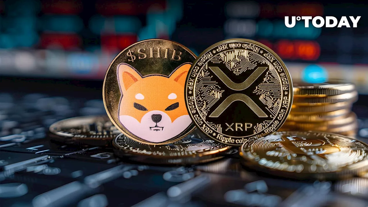 XRP and Shiba Inu (SHIB) Holders Suffer, But Here's Why It's Bullish