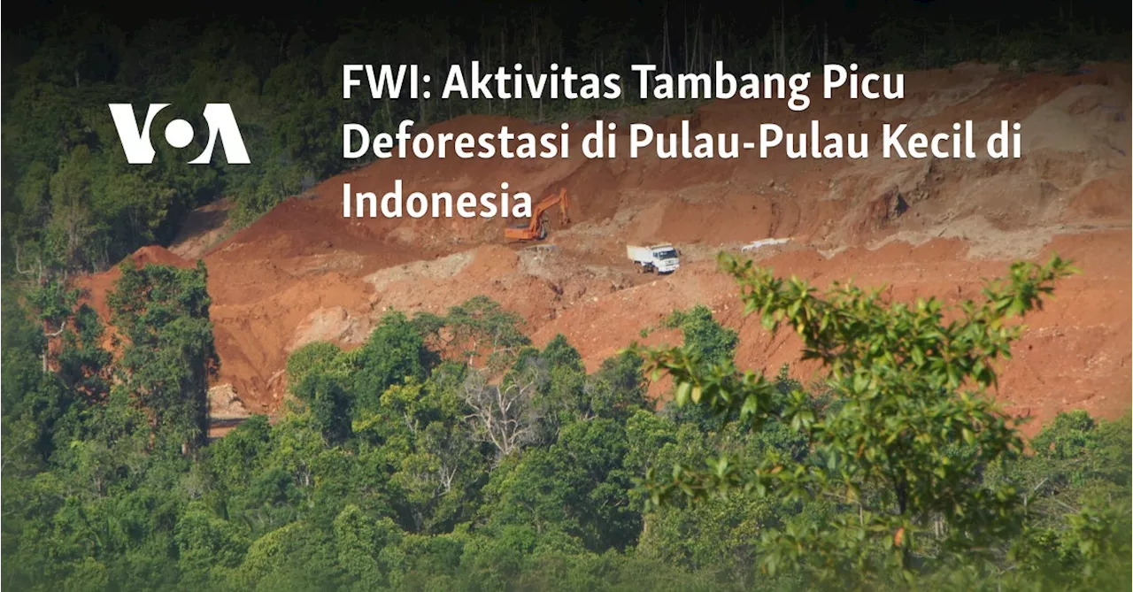 FWI: Aktivitas Tambang Picu Deforestasi di Pulau-Pulau Kecil di Indonesia