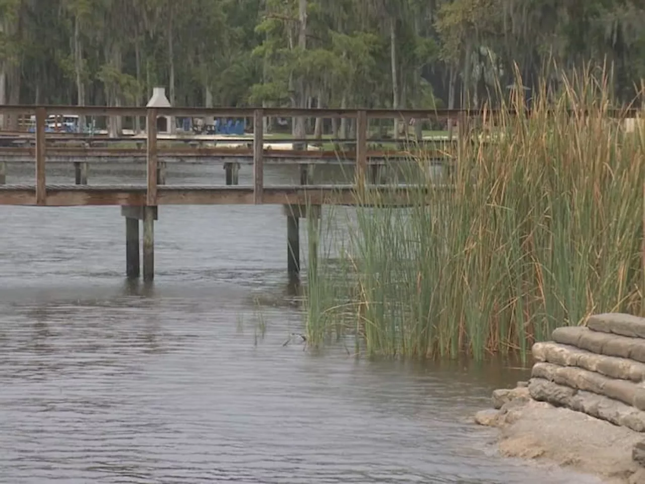 Department of Health cautions residents about blue-green algae bloom in Doctors Lake