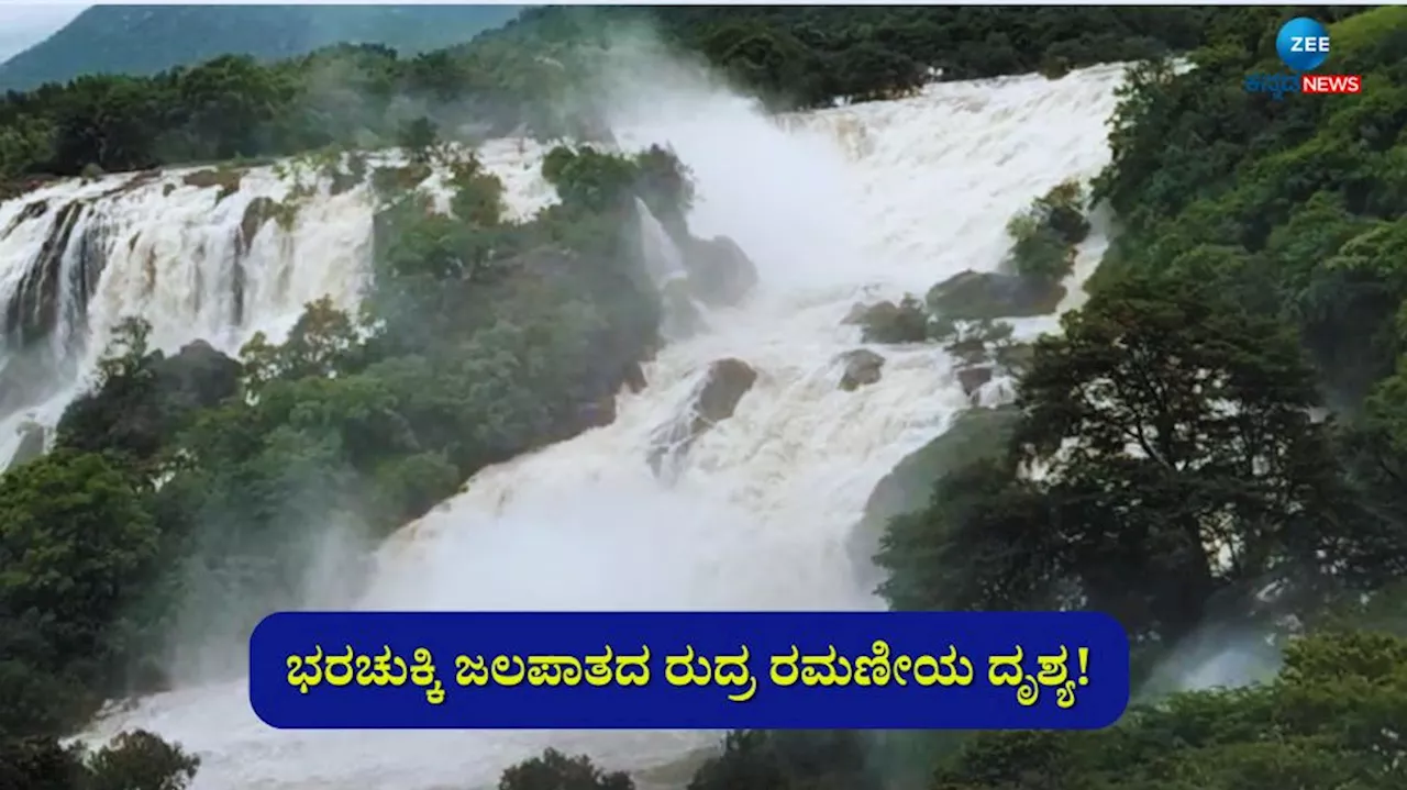 ಹಾಲ್ನೊರೆಯಂತೆ ಧುಮ್ಮಿಕ್ಕುತ್ತಿದೆ ಭರಚುಕ್ಕಿ: ಕಾವೇರಿ ಜಲ ವೈಯ್ಯಾರ ಸೃಷ್ಟಿ