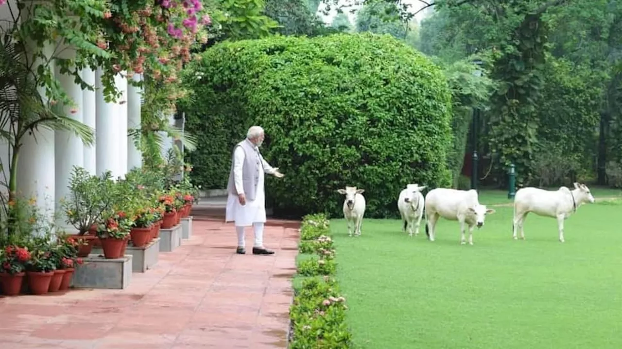 PM Modis 7 Lok Kalyan Marg Vs Sonia Gandhis 10 Janpath: Whose Bungalow Is Bigger, Luxurious?