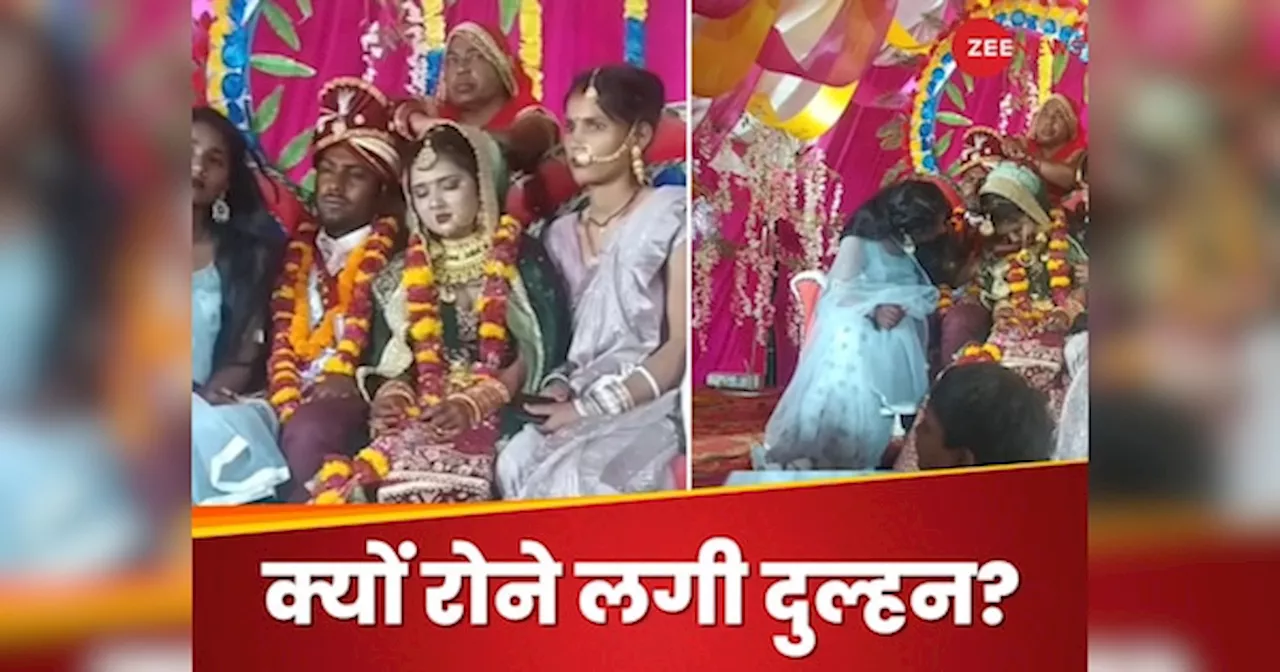 Wedding Video: दूल्हे का चेहरा देखकर फूट-फूटकर रोई दुल्हन, जयमाला के वक्त हुआ फैमिली ड्रामा