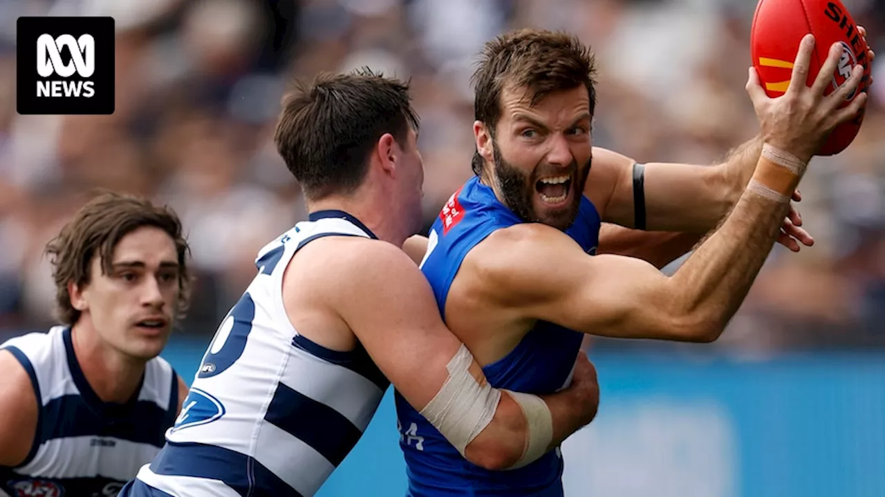 AFL round 20: Kangaroos vs Cats, Suns vs Lions, St Kilda vs Essendon, Melbourne vs GWS, Fremantle vs West Coast live updates — blog, scores and stats