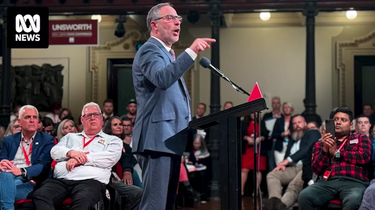 Delegates at NSW Labor conference call on federal government to make Palestinian recognition a priority