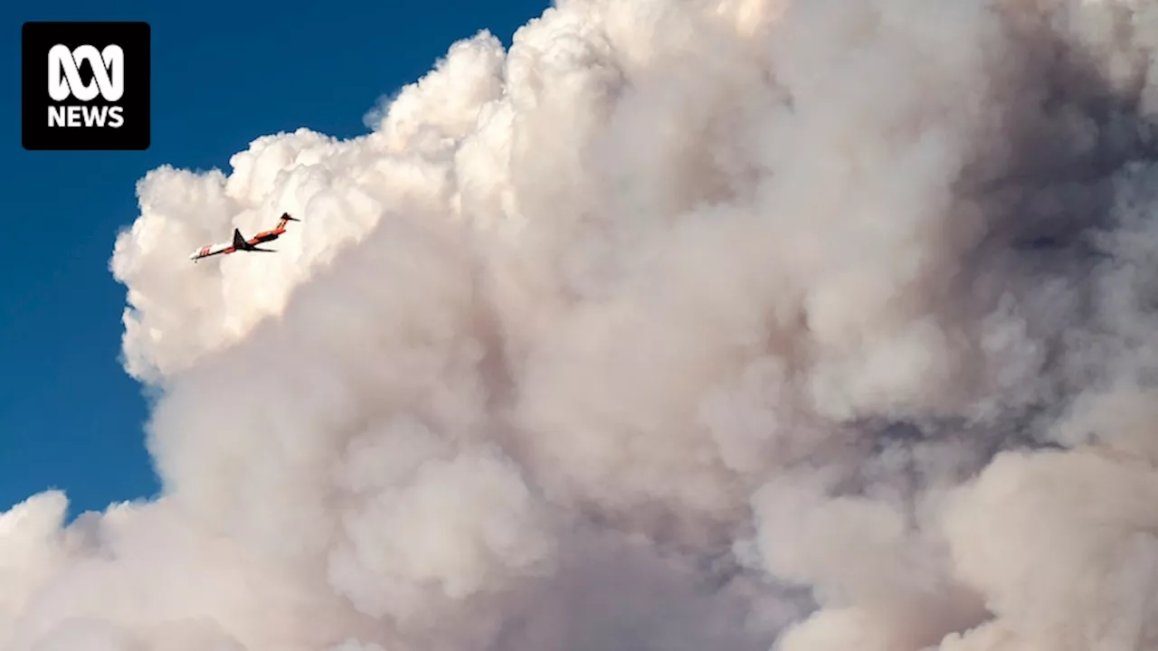 Tanker plane crash kills Oregon firefighting pilot as US wildfires spread