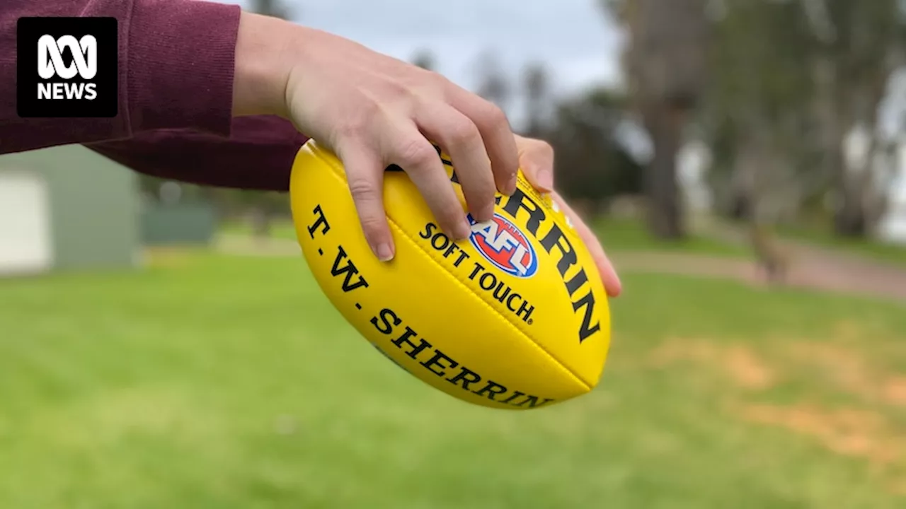 WA police investigate brawl among spectators at junior football match in Mount Lawley