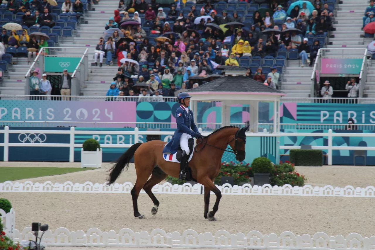 JO Paris 2024 : l’équitation au château de Versailles, « un cadre magnifique »