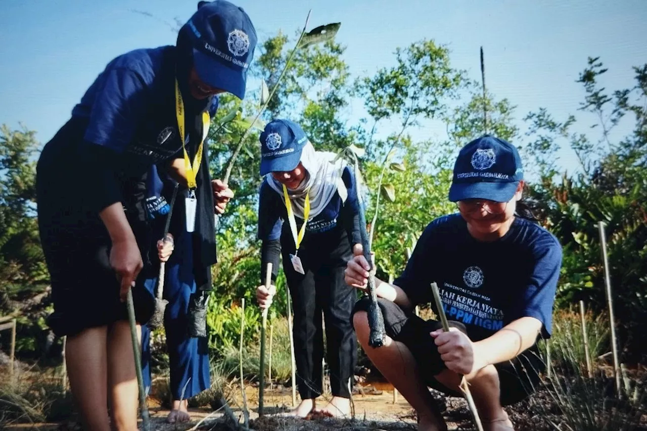 Peringati Hari Mangrove, YKAN-mahasiswa tanam 1.000 mangrove di Berau