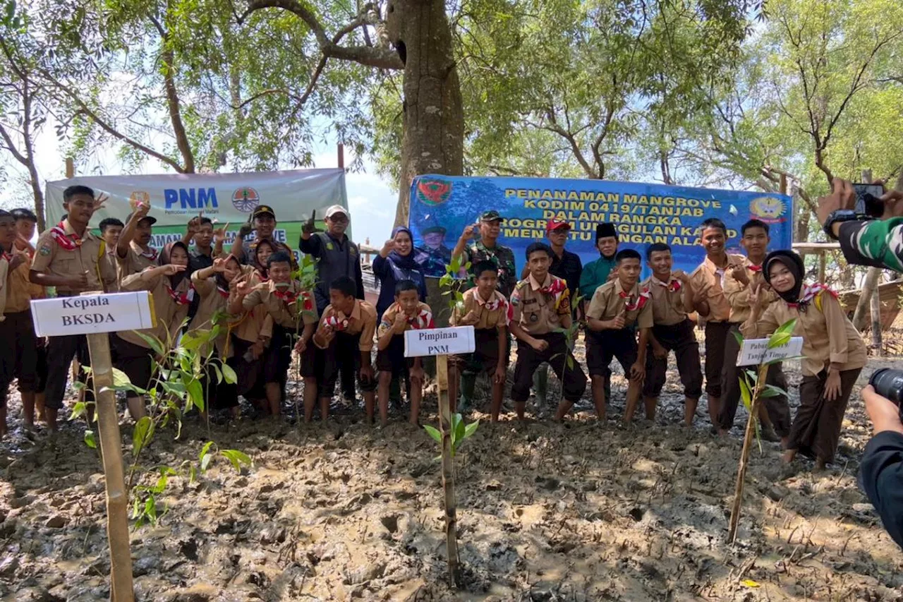 PNM Jambi tanam 5.000 mangrove di Tanjung Jabung Timur