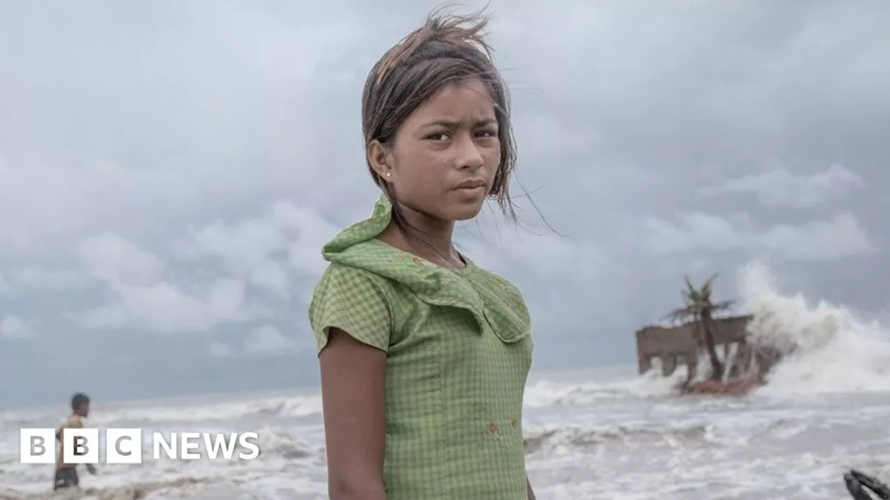 Mangrove Photography Awards: Portrait of storm victim wins prize