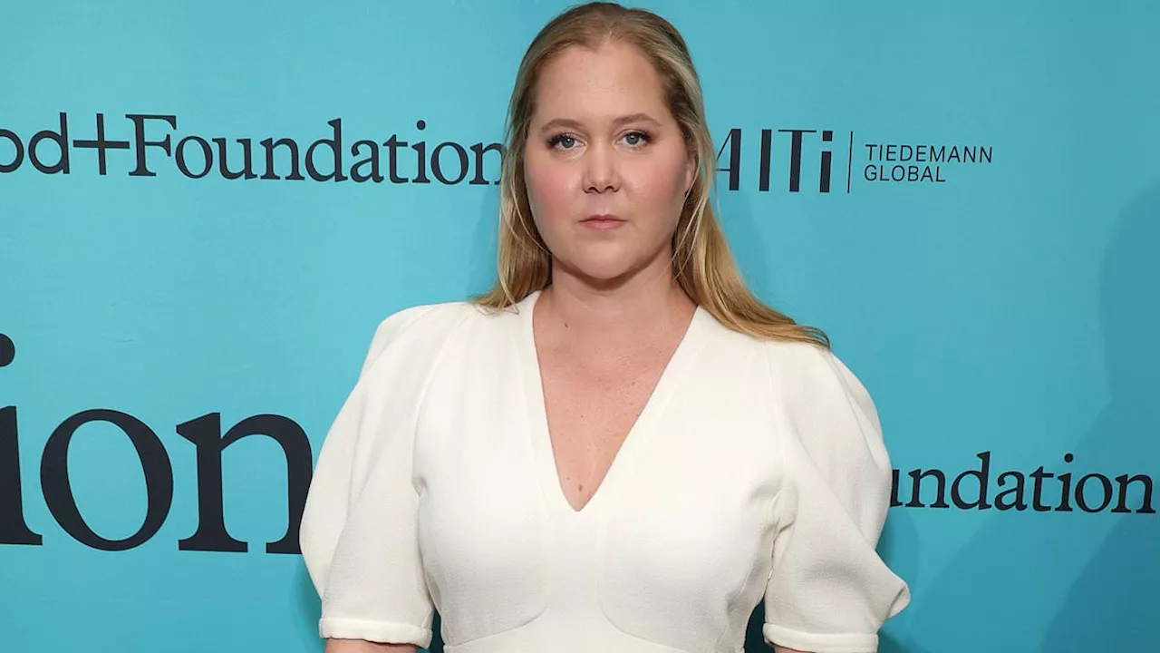 Amy Schumer's Hulu series Life & Beth CANCELED after its two season run leaving fans devastated