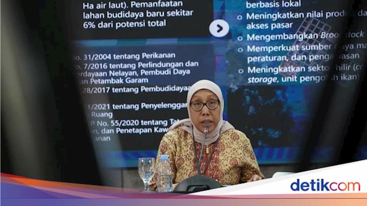 KKP Ungkap Kenaikan Pendapatan Pembudidaya Ikan, Jadi Rp 5,1 Juta/Bulan