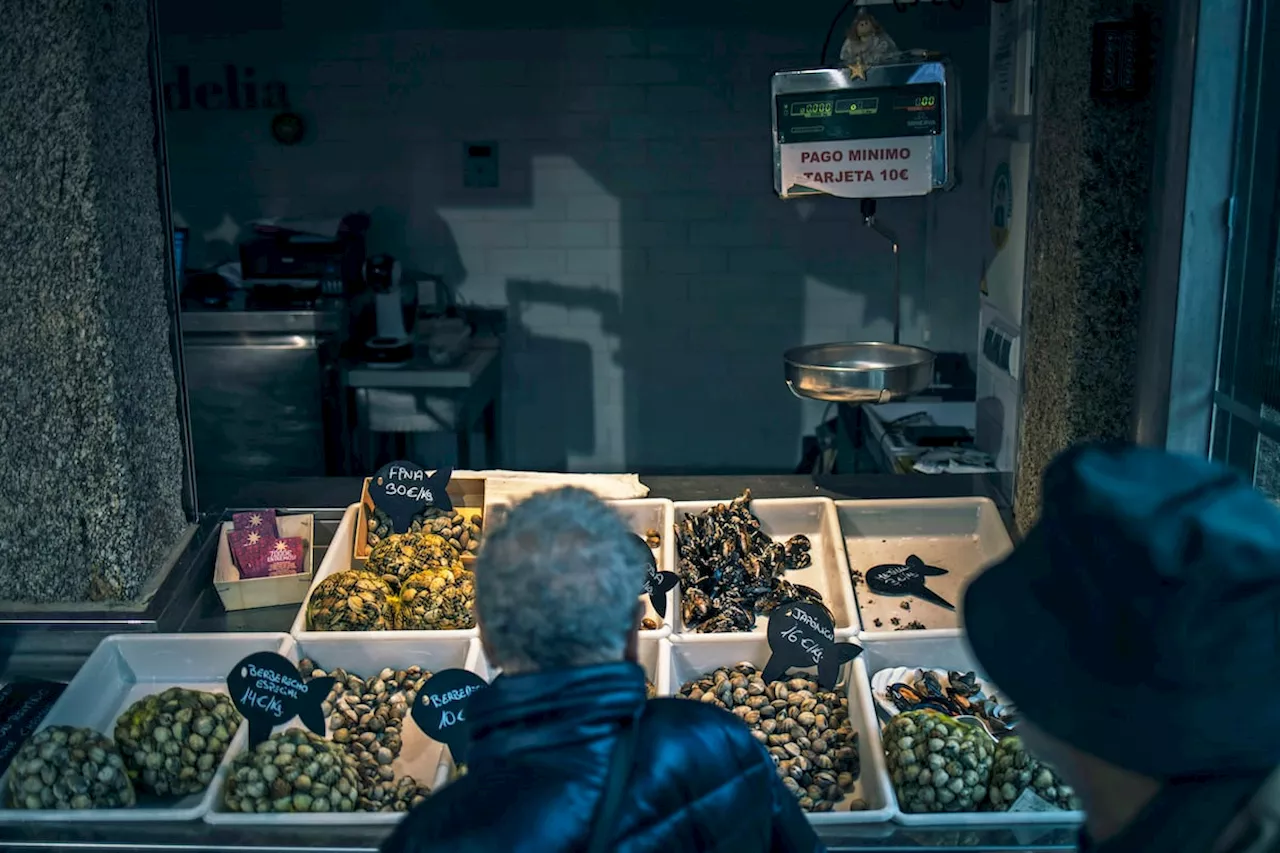 El mercurio en el pescado es un ejemplo de toxicidad peligrosa para el organismo