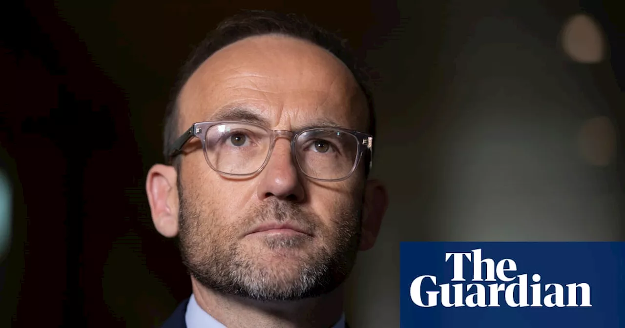 Adam Bandt says Greens ‘hitting a nerve’ as conservative lobby group takes aim