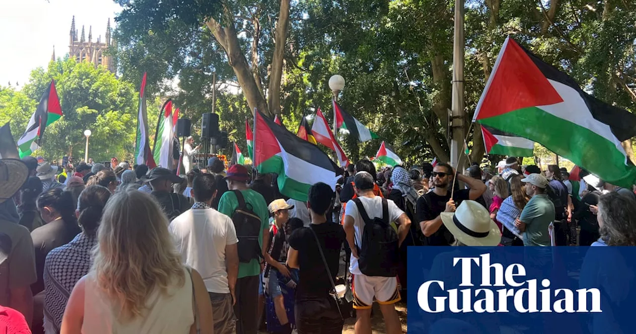 Federal government faces challenge from NSW Labor members over Palestinian recognition