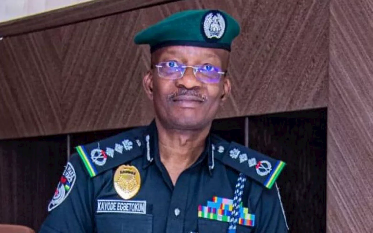 IGP Egbetokun lists conditions for planned protest