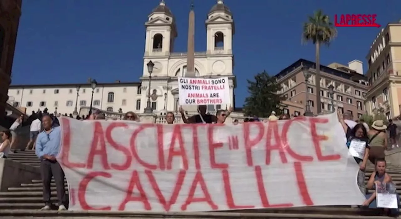 Roma, flash mob animalista in Piazza di Spagna: “Lasciate in pace i cavalli”