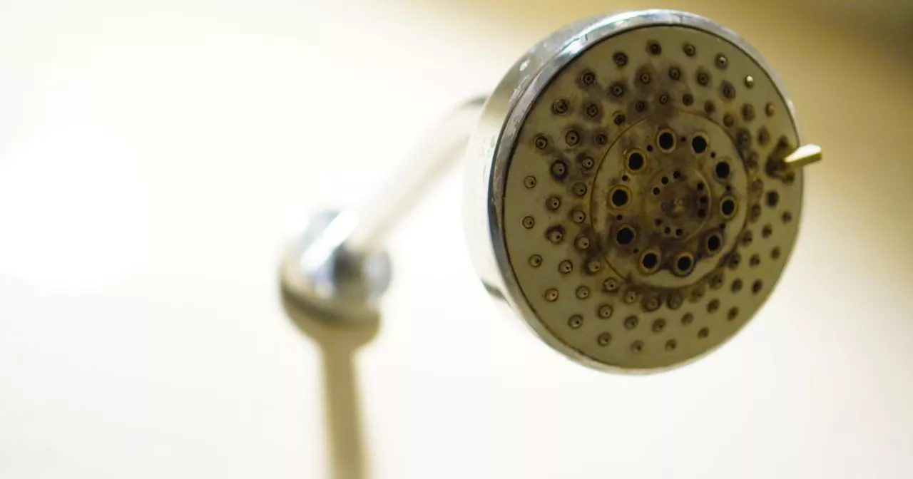 'Genius' limescale shower head cleaning hack uses one common household item