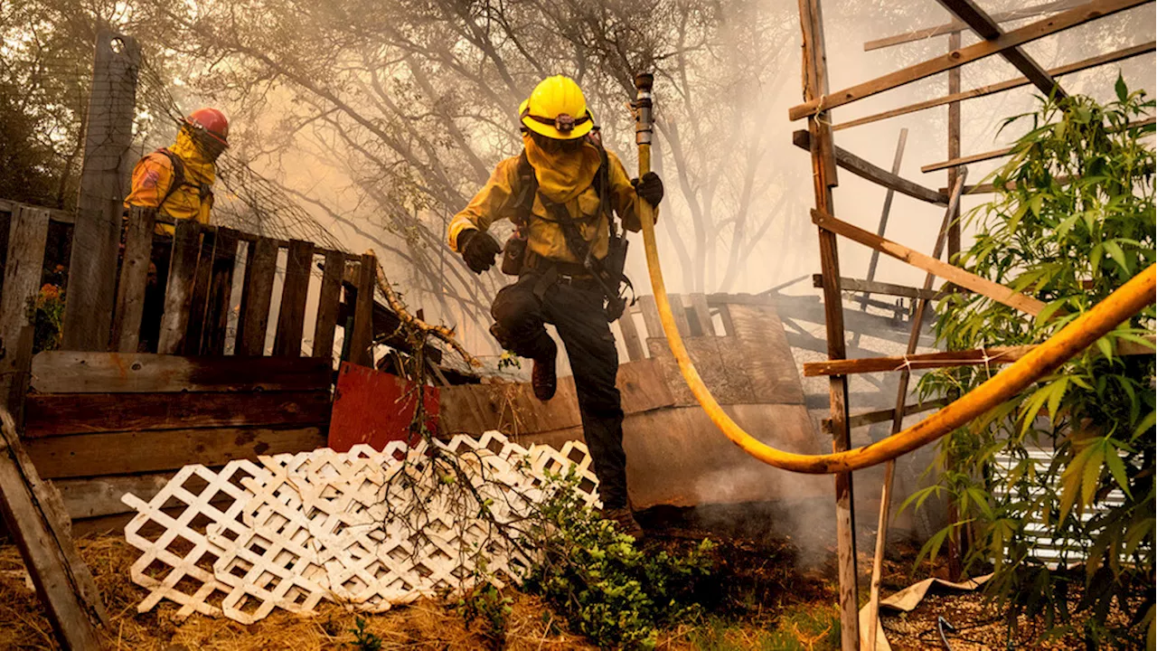 Gallery: Tanker plane crash kills firefighting pilot while Western wildfires spread