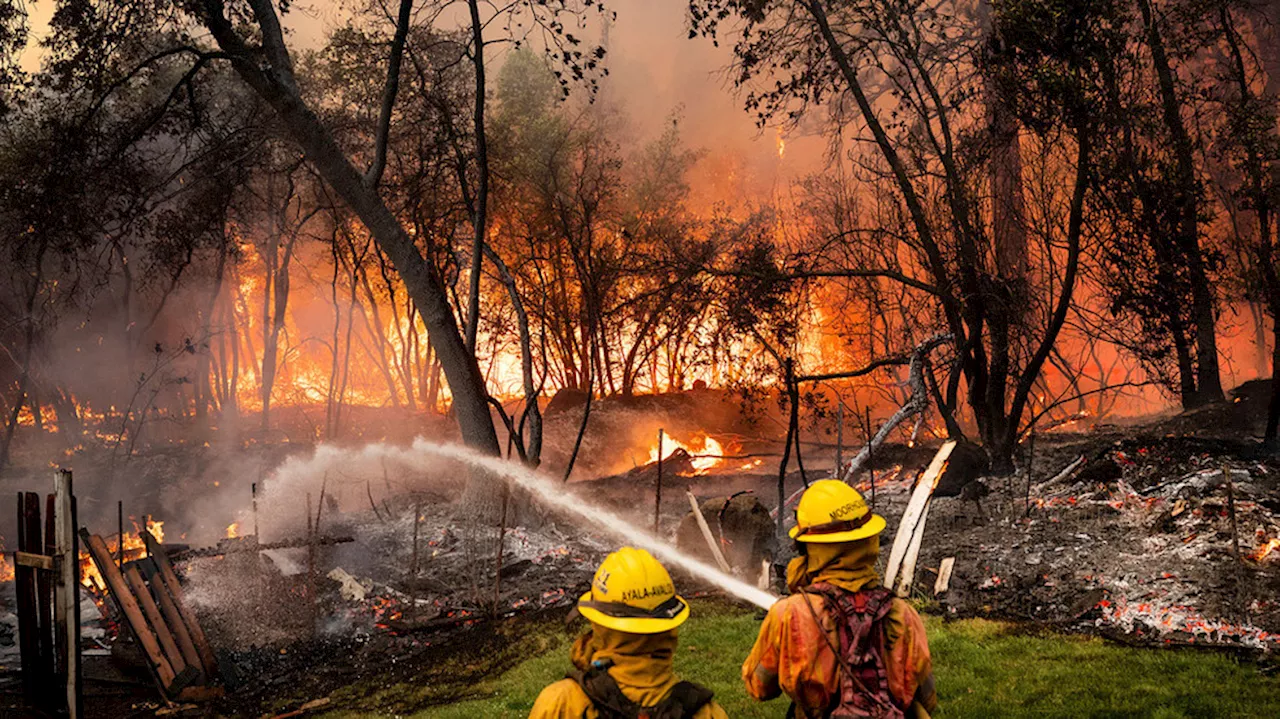 Scores of wildfires are scorching swaths of the US and Canada. Here's the latest