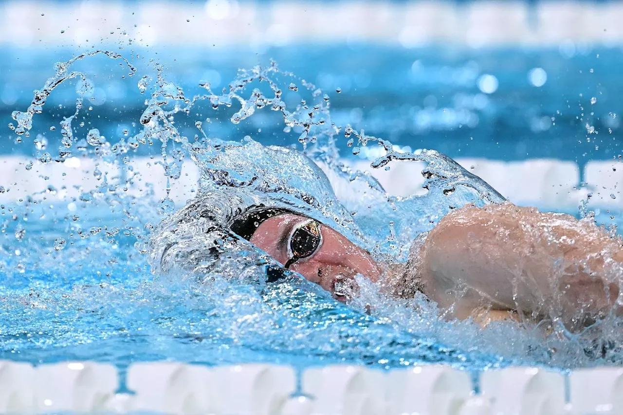 JO-2024/Natation: Ledecky domine les séries du 400 m