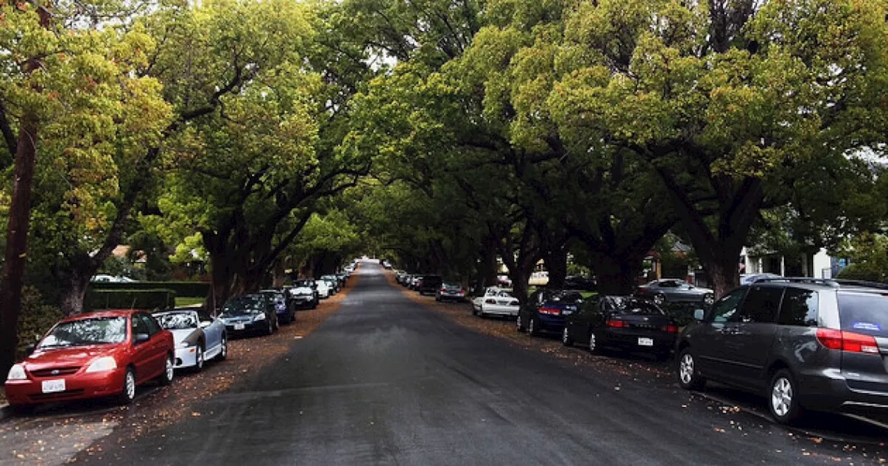 Native/non-native trees