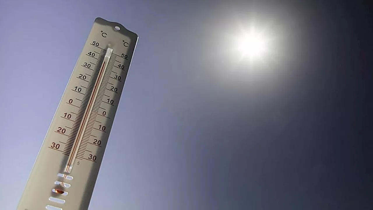 Jusqu'à 40 °C attendus, les Alpes-de-Haute-Provence placées en vigilance jaune canicule