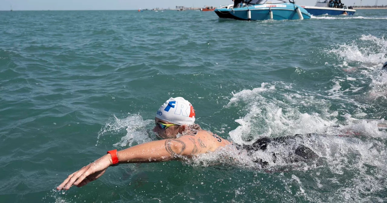 Natation aux JO de Paris 2024 : les Français à suivre dans les eaux olympiques