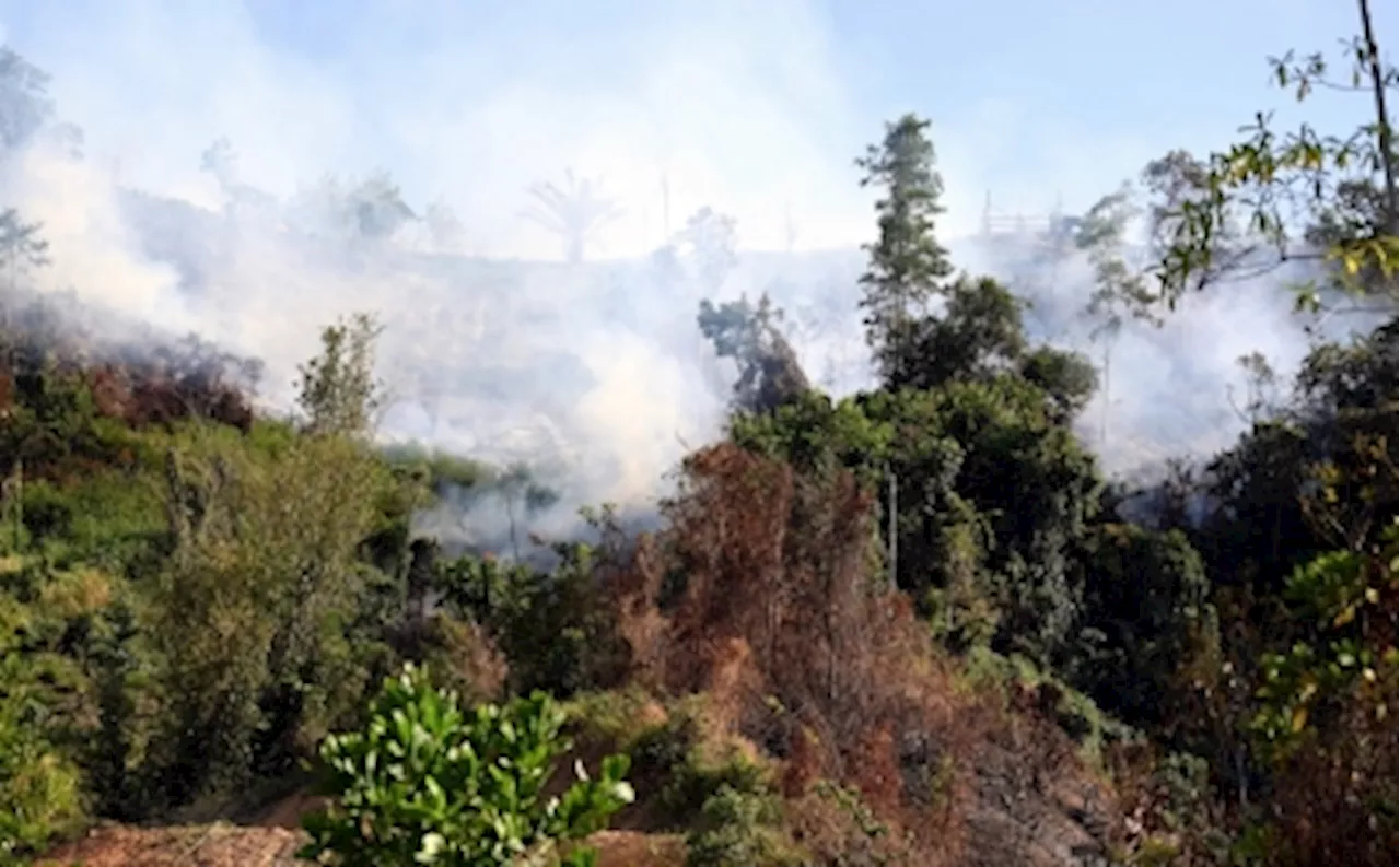 With over 50 hot spots in Sibu, fire chief reminds public against open burning during heatwave