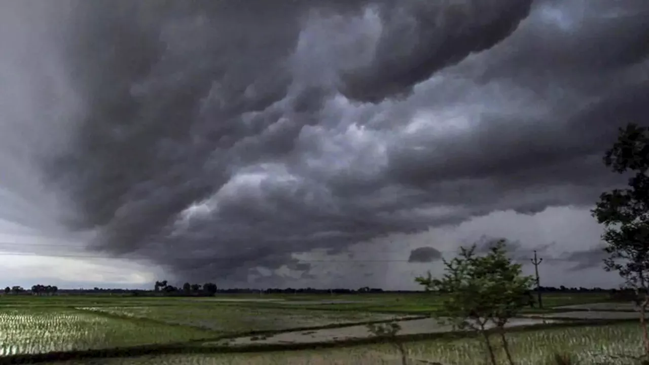 Jharkhand Weather: झारखंड के कई हिस्सों में 29 और 30 जुलाई को भारी बारिश के आसार, जानें मौसम विभाग का ताजा अपडेट