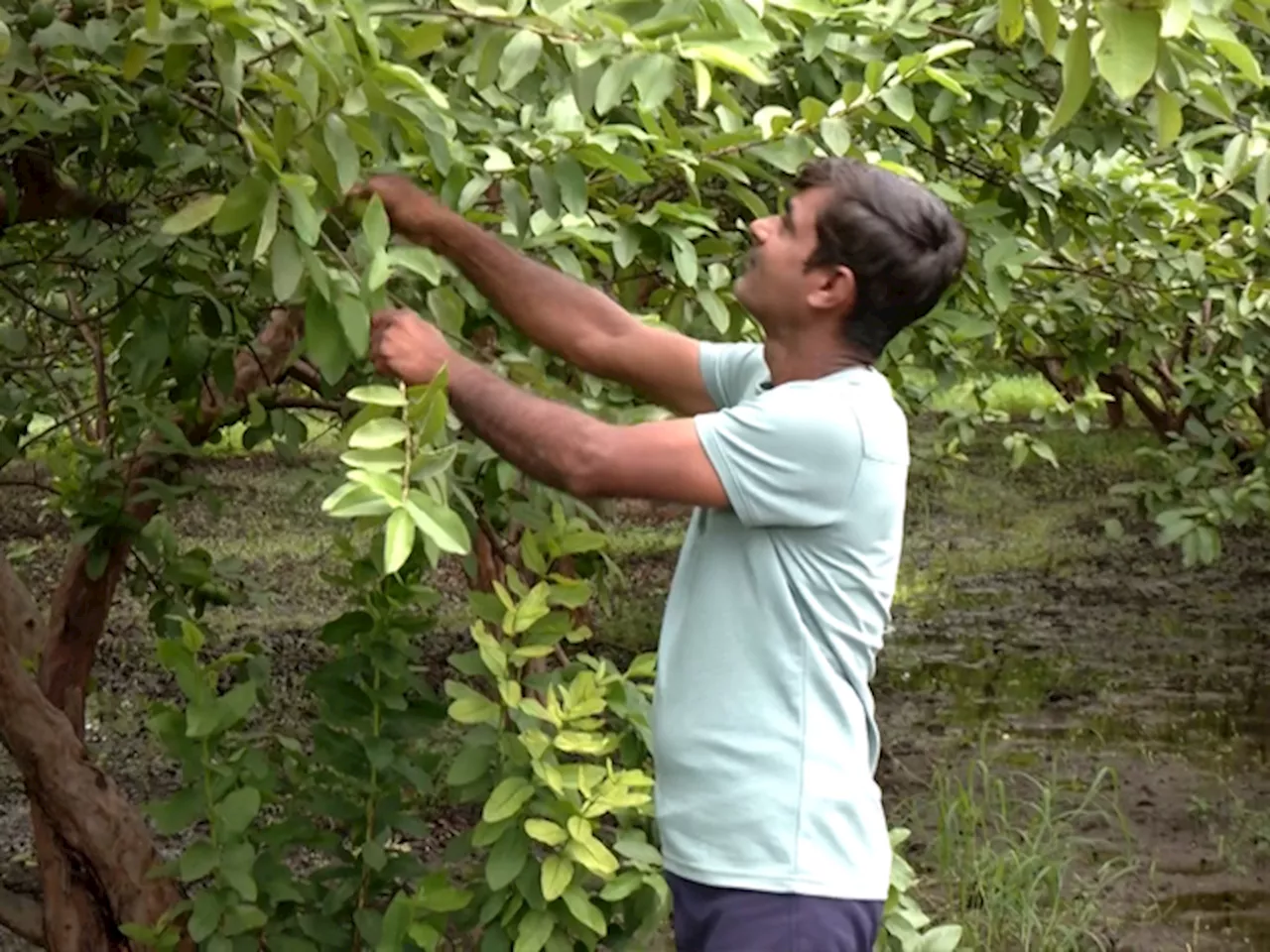 MP के Farmers के सामने नई मुसीबत, अधिकारियों पर लगा रहे रिश्वत लेने के आरोप, बनवा रहे Affidavit