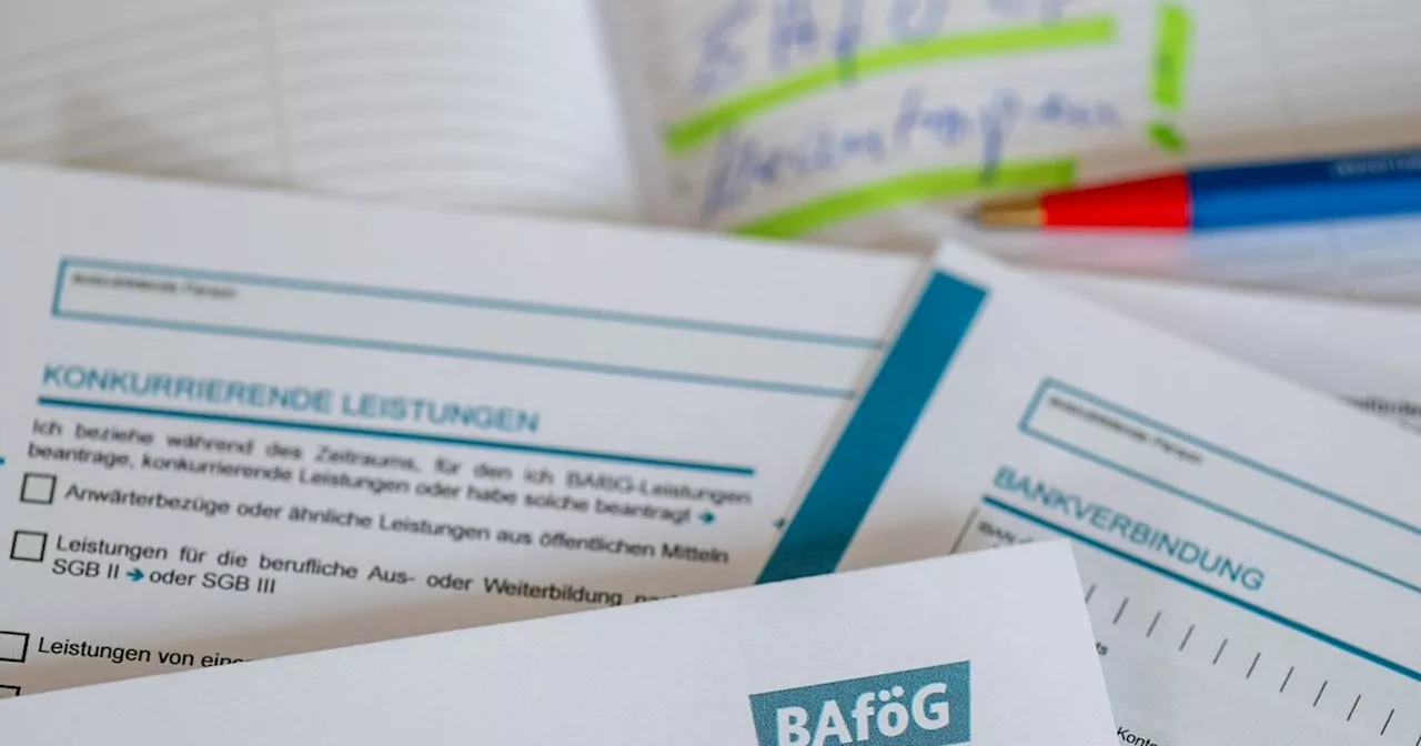 Heizung, Bafög, Ausbildung: Das ändert sich im August