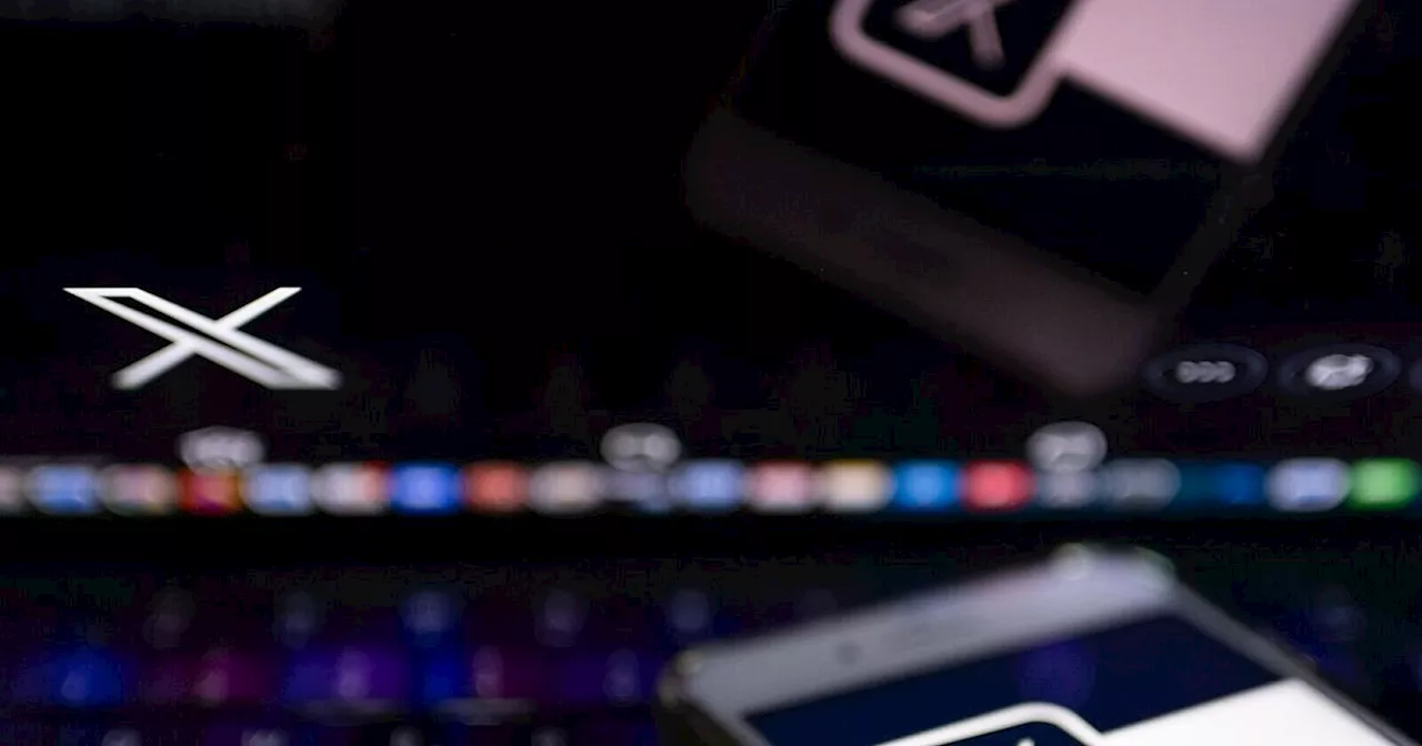 Musk gibt Chatbot Zugang zu Nutzer-Beiträgen bei X