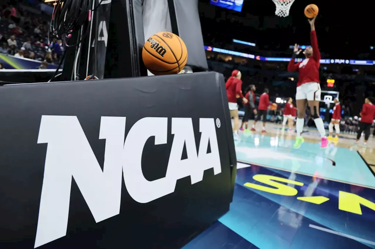 Details of NCAA's bombshell $2.8 billion settlemeant revealed — here's what it means for college athletes' pay