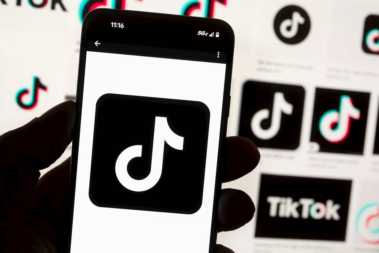 TikTok collects user info that threatens national security, feds say