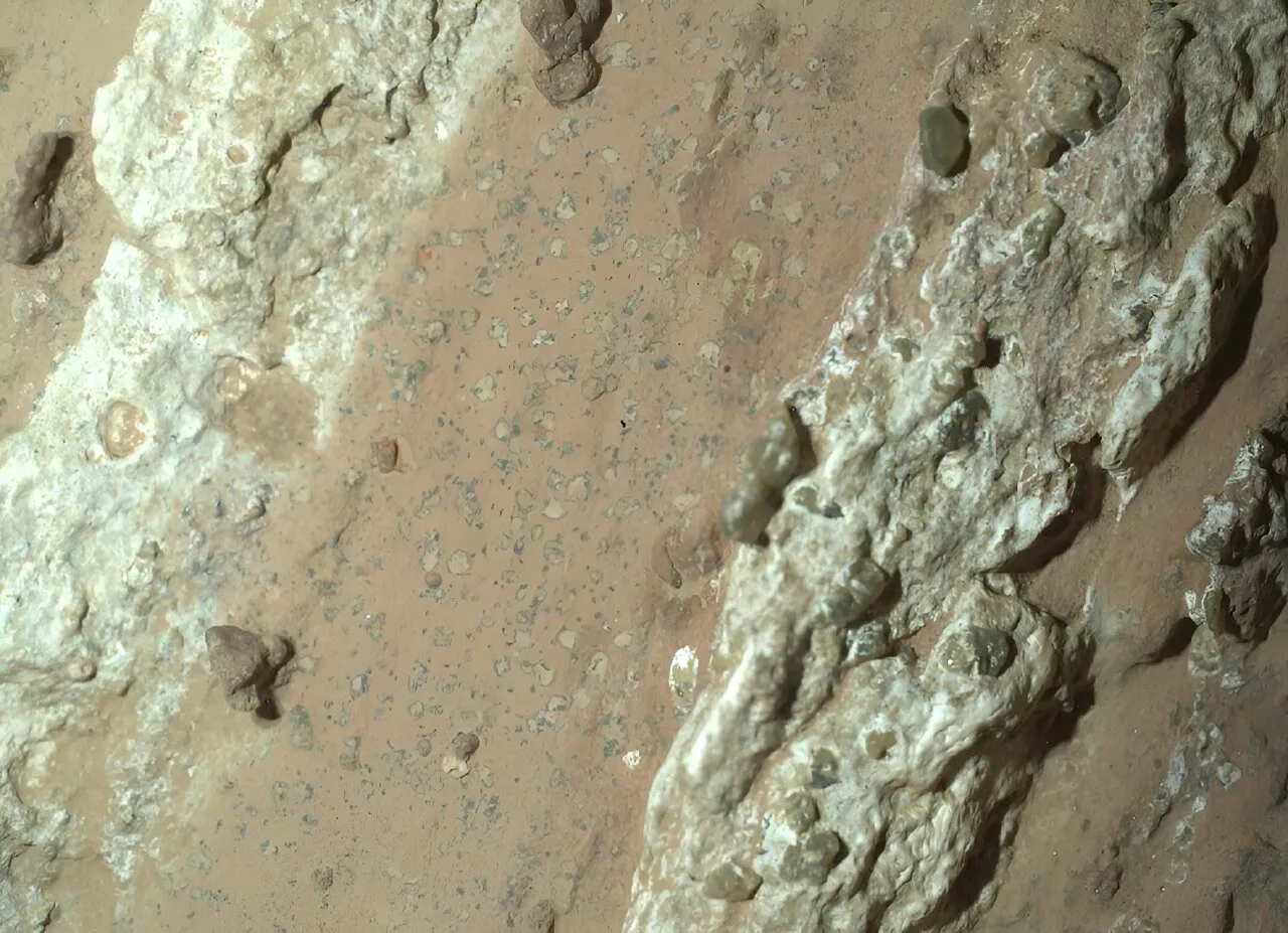 NASA Mars rover captures rock that could hold fossilized microbes