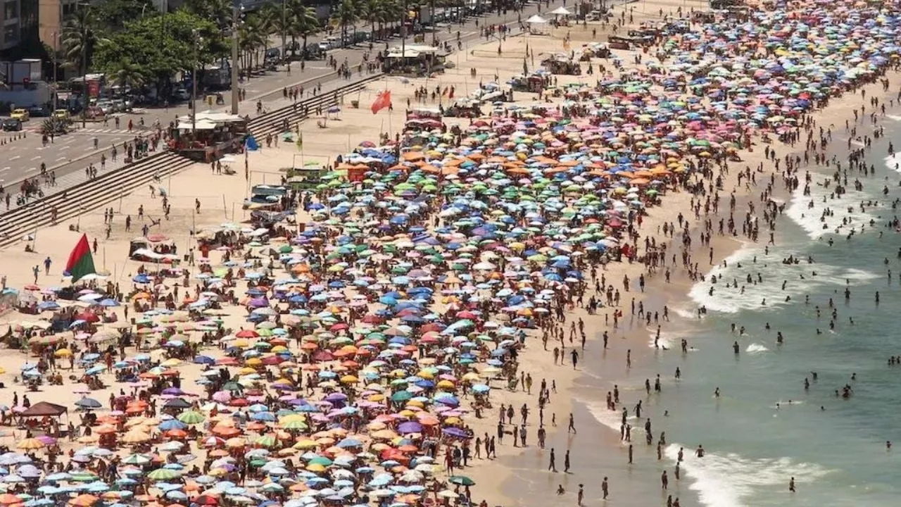 La vida y muerte en el calor: cuando la temperatura del planeta alcanza máximos históricos