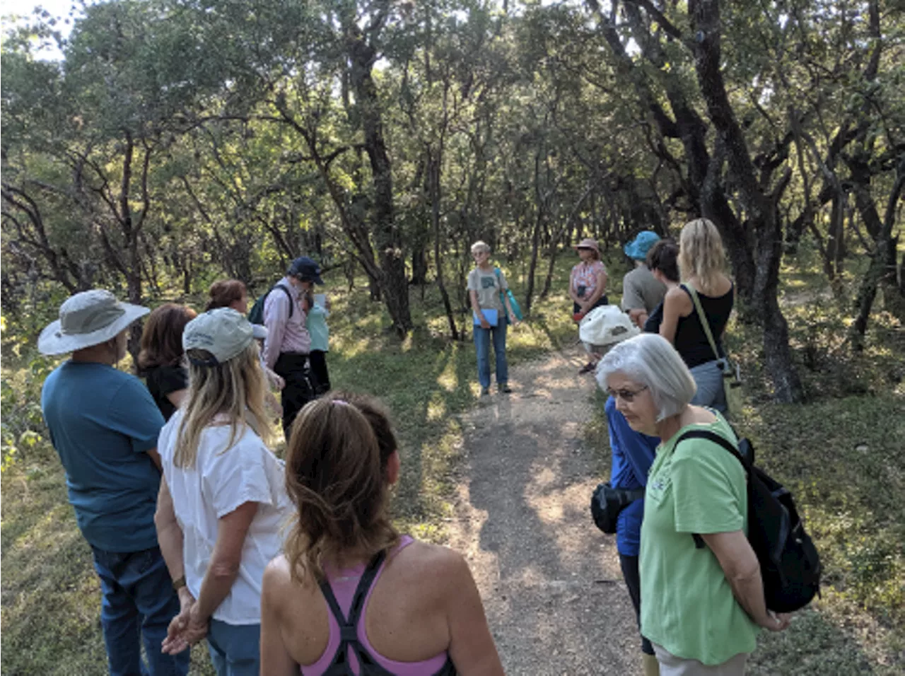 4th Saturday Nature Walk: Walk in Nature like a Poet