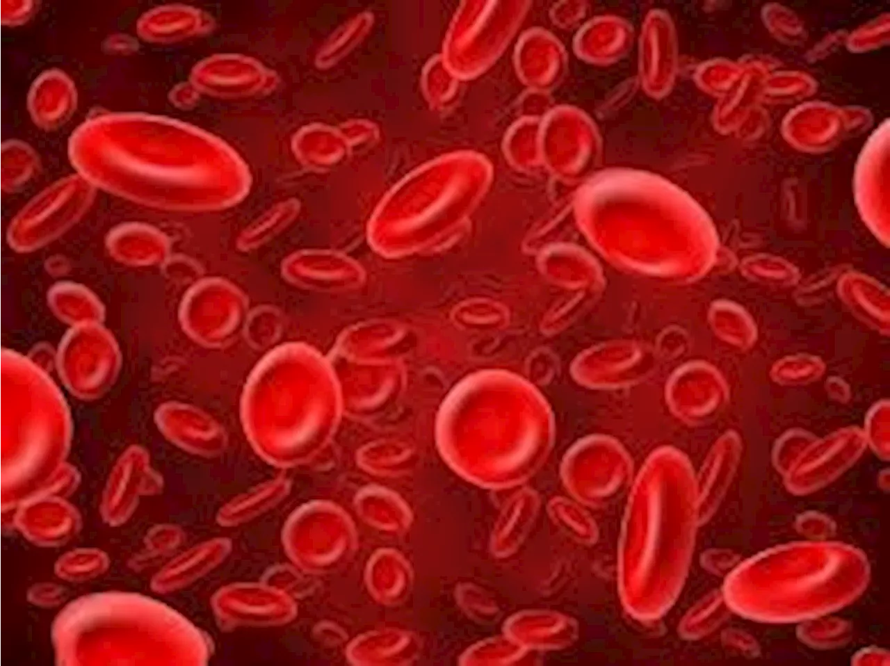 Clinical trial on artificial blood cells to begin in Japan