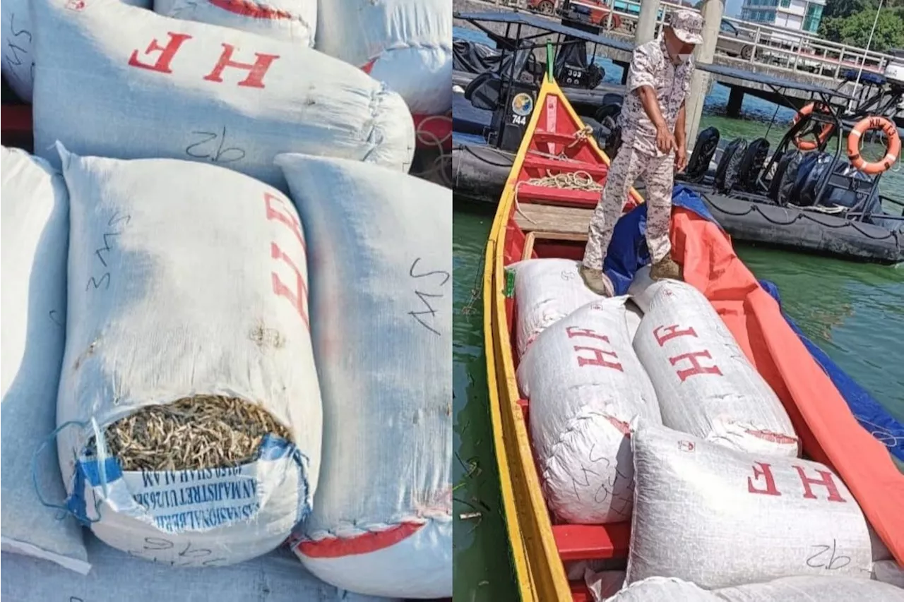 Man arrested trying to smuggle out 2,400kg anchovies to Philippines