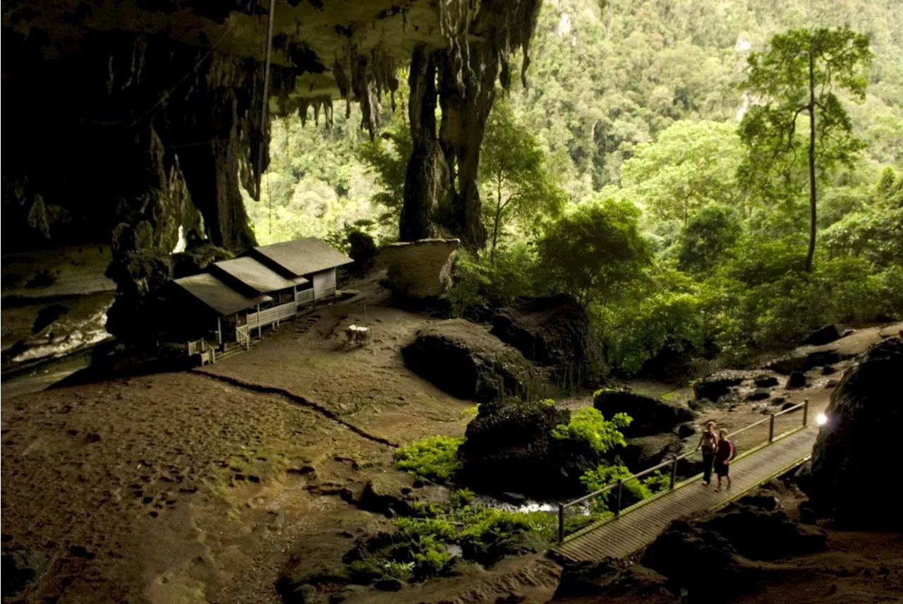 Sarawak's Niah Caves recognised as a Unesco World Heritage Site