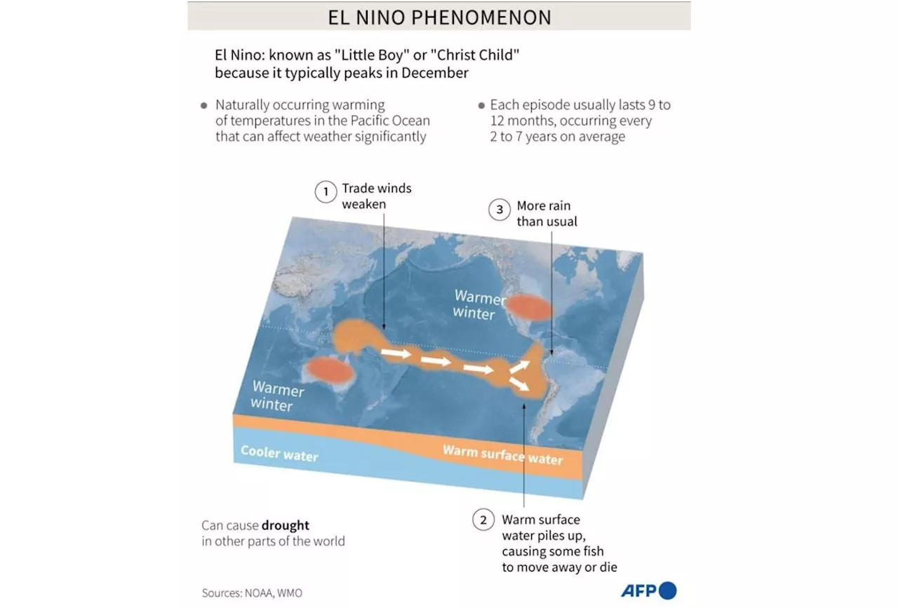 ‘Study El Nino impact on peninsula, Sumatra and south Thailand’