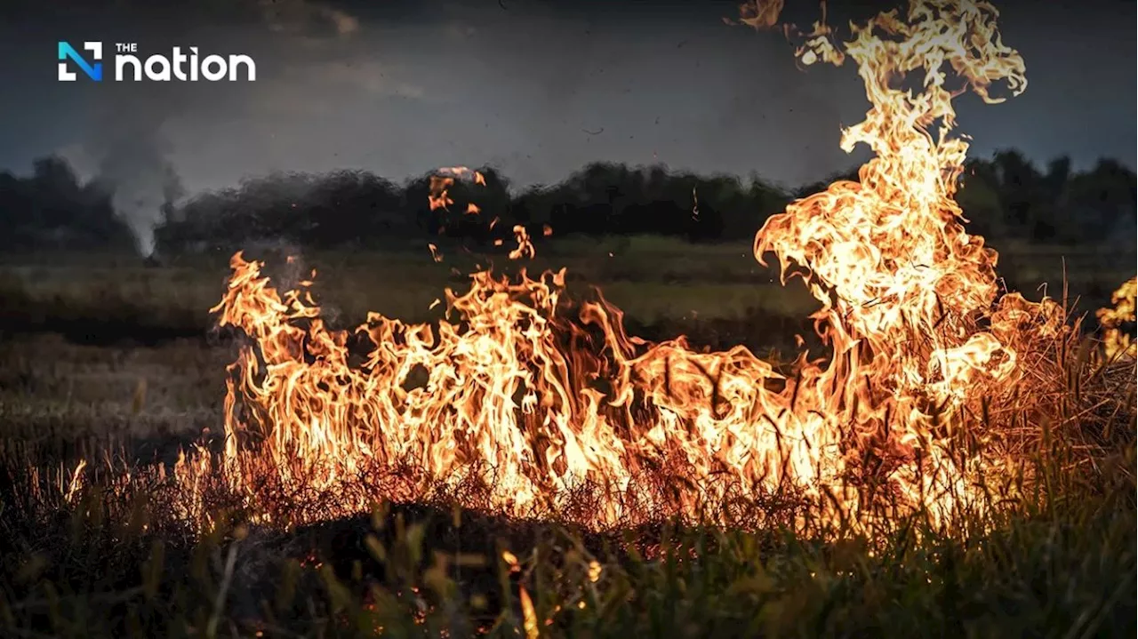 War on PM2.5 pollution: Thai farmers burning their fields to be denied subsidies