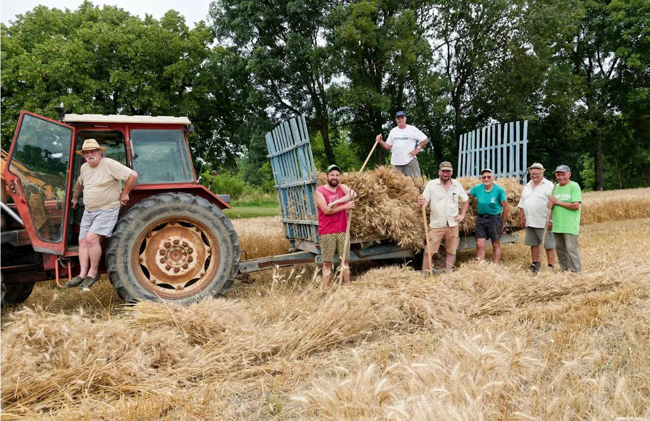 La Foire aux vaches grasses de Cancon, entre fête et préoccupations