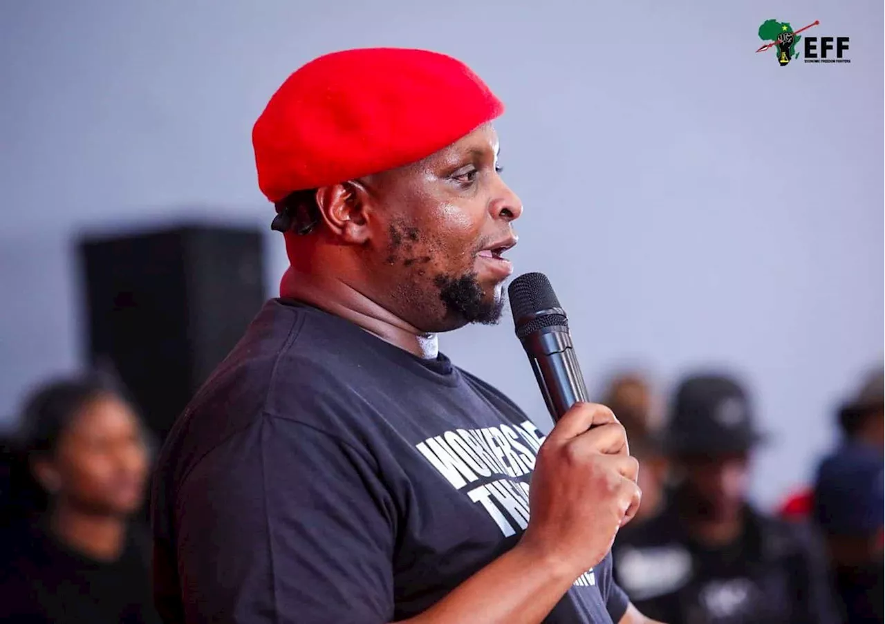 Floyd Shivambu blames white capitalists for EFF’s poor election results