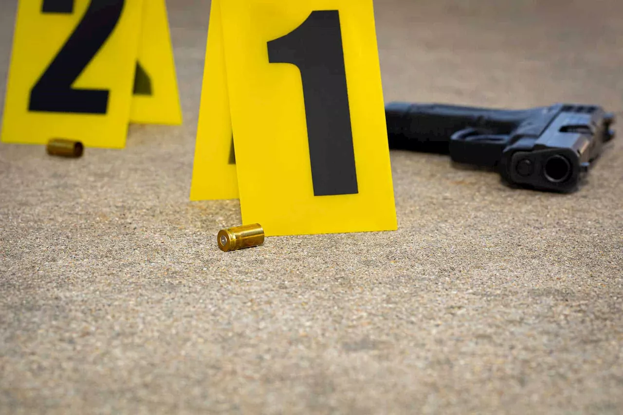 Seven people killed in tavern shooting in North West