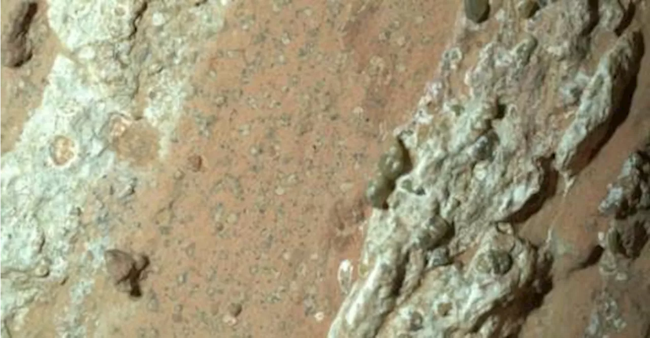 NASA Mars rover captures rock that could hold fossilized microbes